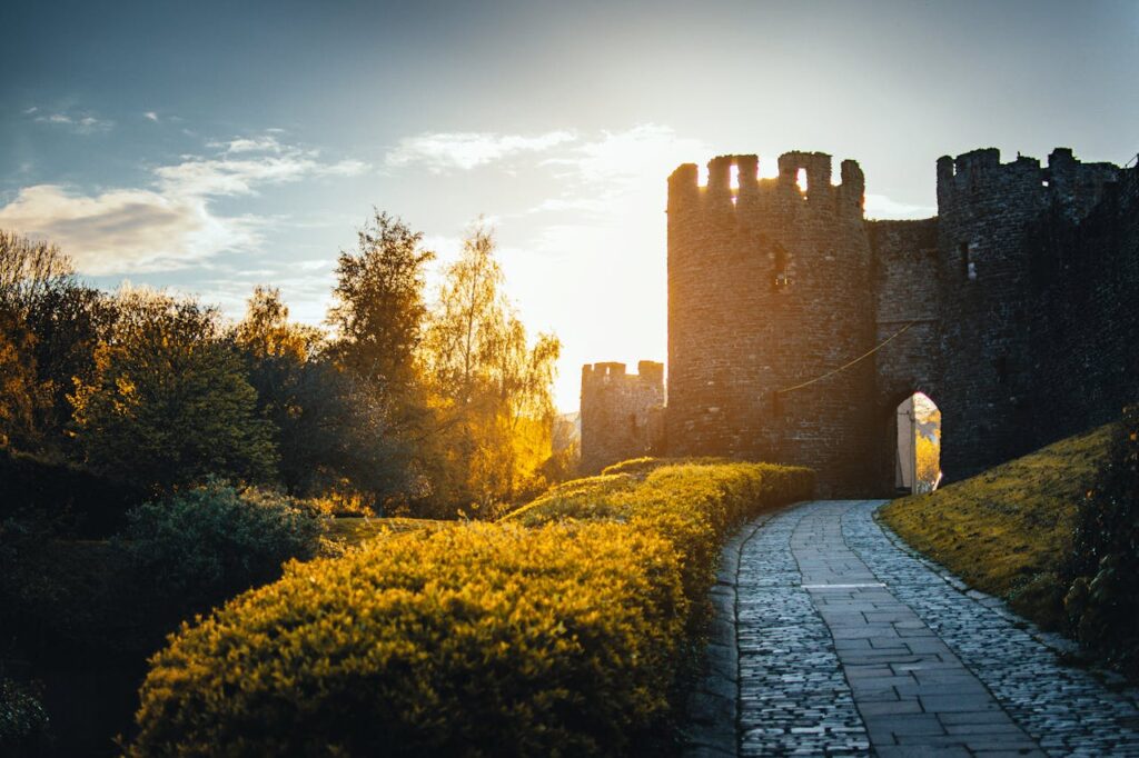 Nature-Inspired medieval Surnames